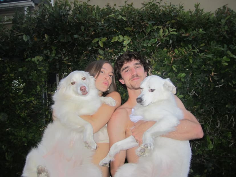 Will and Sarah with their two dogs